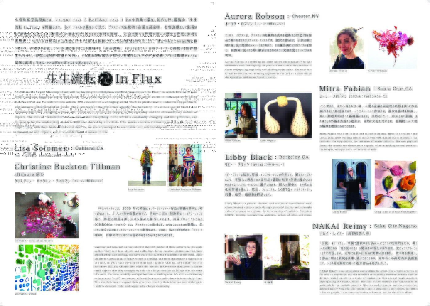 生生流転 In Flux ～アメリカと日本のアーティストの滞在制作による現代美術展～